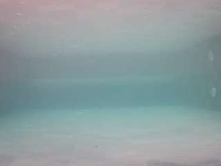 voyeurcam-casa-salsa-pool-1