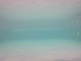 voyeurcam-casa-salsa-pool-1