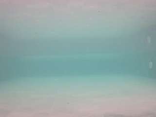 voyeurcam-casa-salsa-pool-1