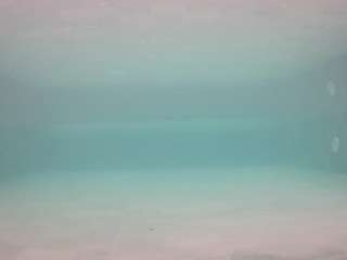 voyeurcam-casa-salsa-pool-1