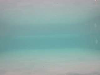 voyeurcam-casa-salsa-pool-1