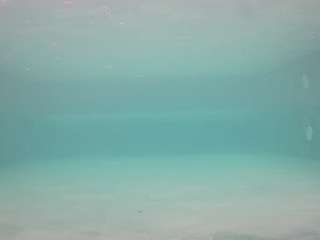 voyeurcam-casa-salsa-pool-1