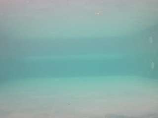 voyeurcam-casa-salsa-pool-1