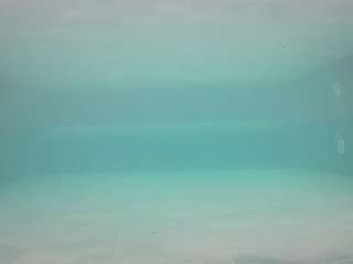 voyeurcam-casa-salsa-pool-1