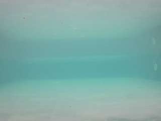 voyeurcam-casa-salsa-pool-1