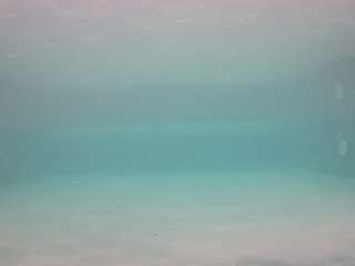 voyeurcam-casa-salsa-pool-1