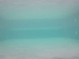 voyeurcam-casa-salsa-pool-1