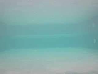 voyeurcam-casa-salsa-pool-1