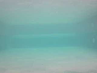 voyeurcam-casa-salsa-pool-1