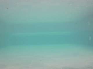 voyeurcam-casa-salsa-pool-1