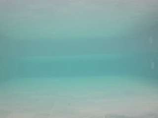 voyeurcam-casa-salsa-pool-1