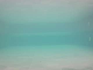 voyeurcam-casa-salsa-pool-1