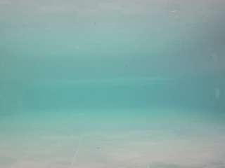 voyeurcam-casa-salsa-pool-1