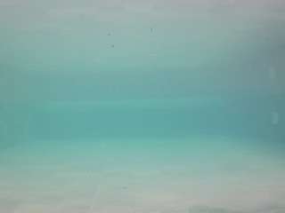 voyeurcam-casa-salsa-pool-1