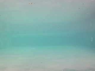 voyeurcam-casa-salsa-pool-1