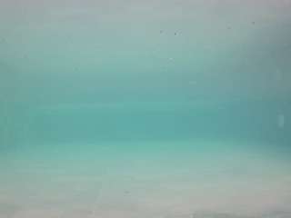 voyeurcam-casa-salsa-pool-1