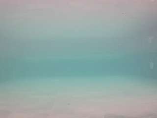 voyeurcam-casa-salsa-pool-1