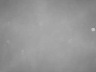 voyeurcam-casa-salsa-pool-1