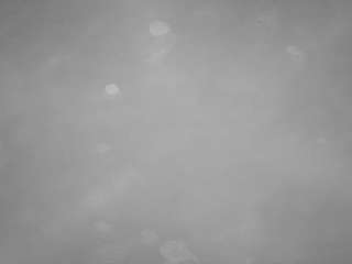 voyeurcam-casa-salsa-pool-1