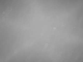 voyeurcam-casa-salsa-pool-1