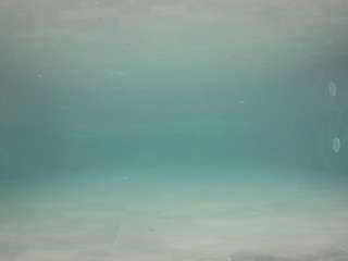 voyeurcam-casa-salsa-pool-1