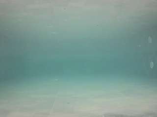 voyeurcam-casa-salsa-pool-1