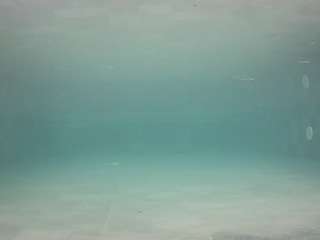 voyeurcam-casa-salsa-pool-1