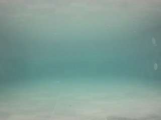 voyeurcam-casa-salsa-pool-1
