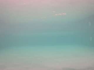 voyeurcam-casa-salsa-pool-1