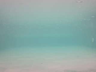 voyeurcam-casa-salsa-pool-1