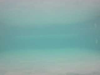 voyeurcam-casa-salsa-pool-1