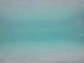 voyeurcam-casa-salsa-pool-1