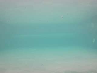 voyeurcam-casa-salsa-pool-1