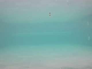 voyeurcam-casa-salsa-pool-1