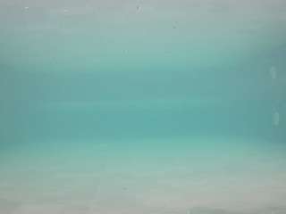 voyeurcam-casa-salsa-pool-1