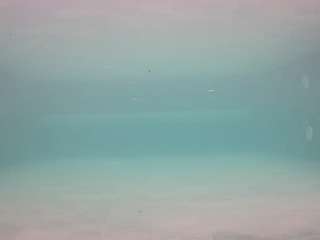 voyeurcam-casa-s... Live Webcam on CamSoda