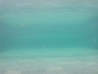 voyeurcam-casa-salsa-pool-1