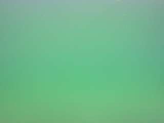 voyeurcam-casa-salsa-pool-1