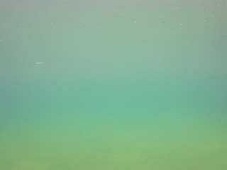 voyeurcam-casa-salsa-pool-1