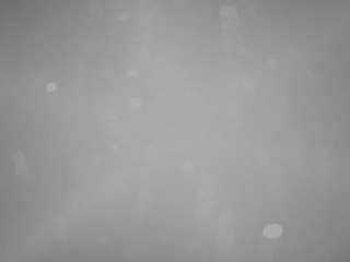 voyeurcam-casa-salsa-pool-1