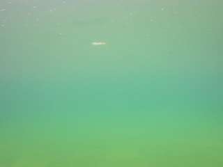 voyeurcam-casa-salsa-pool-1