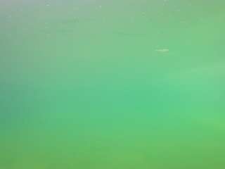 voyeurcam-casa-salsa-pool-1