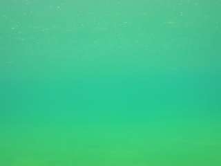 voyeurcam-casa-salsa-pool-1
