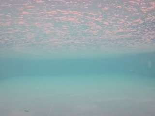 voyeurcam-casa-salsa-pool-1