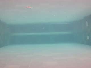 voyeurcam-casa-salsa-pool-1