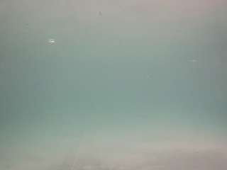 voyeurcam-casa-salsa-pool-1