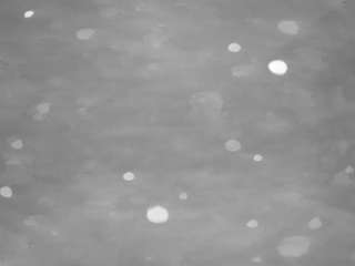 voyeurcam casa salsa pool 1 live webcam show