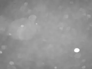 voyeurcam casa salsa pool 1's Live Sex Cam Show