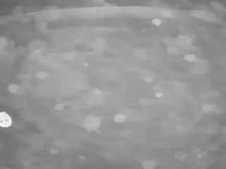 voyeurcam casa salsa pool 1's Live Sex Cam Show