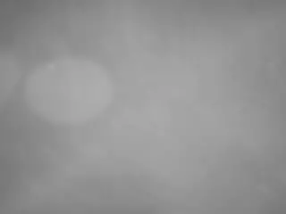 voyeurcam casa salsa pool 1's Live Sex Cam Show